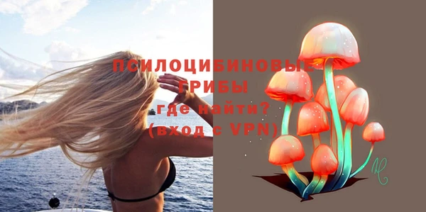 амфетамин Снежногорск