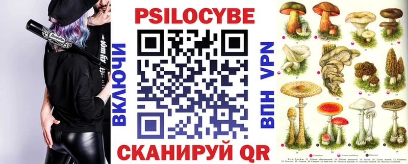 мега зеркало  Ивантеевка  Псилоцибиновые грибы мицелий 