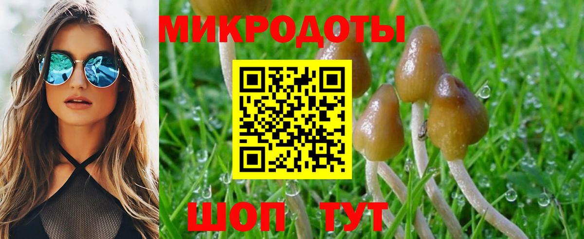 A-PVP Ивантеевка