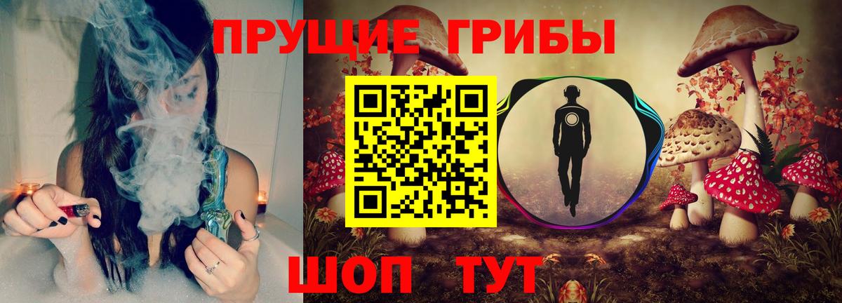 Галлюциногенные грибы прущие грибы Ивантеевка
